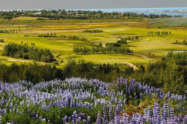 The Leirdalur golf course
