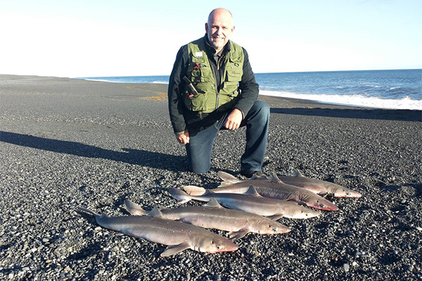 MudShark tours