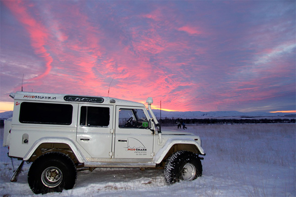 MudShark tours
