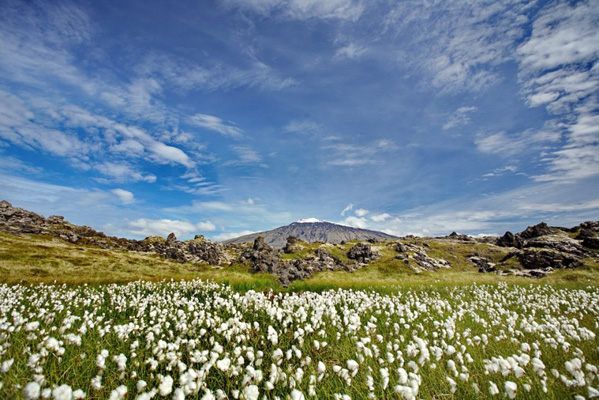 The Snæfellsjökull National Park
